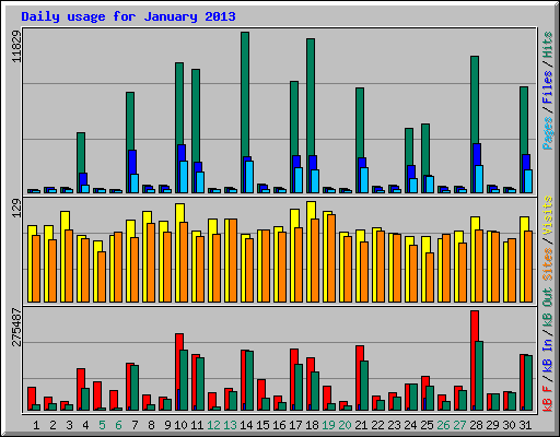Daily usage for January 2013