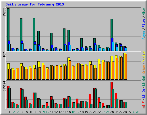 Daily usage for February 2013