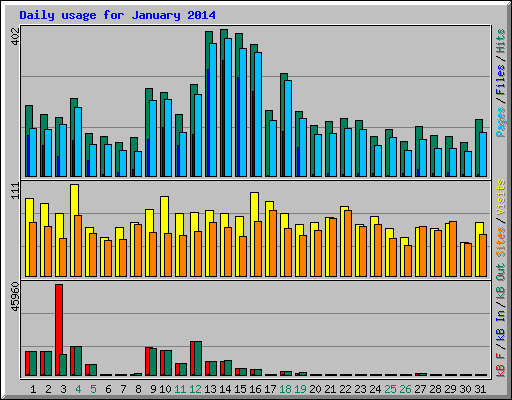 Daily usage for January 2014