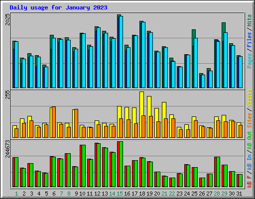 Daily usage for January 2023