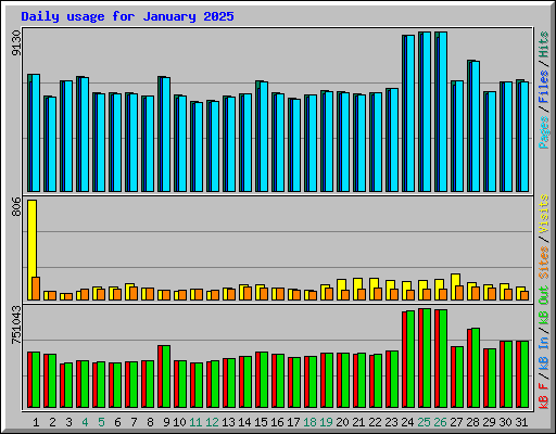 Daily usage for January 2025