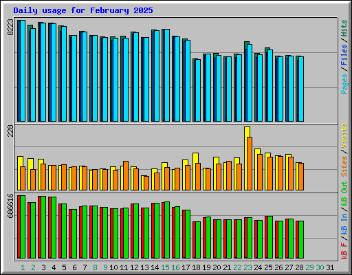 Daily usage for February 2025