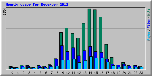 Hourly usage for December 2012
