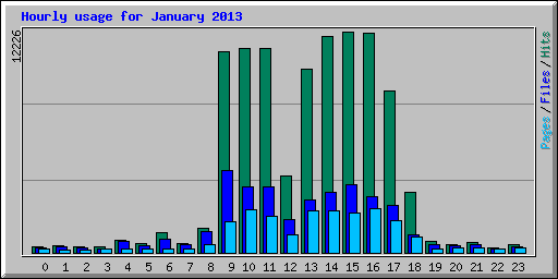 Hourly usage for January 2013