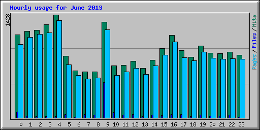 Hourly usage for June 2013