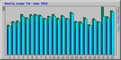 Hourly usage for June 2016
