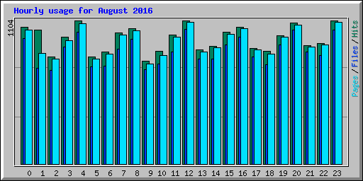 Hourly usage for August 2016