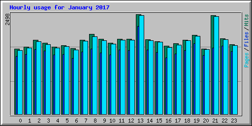 Hourly usage for January 2017