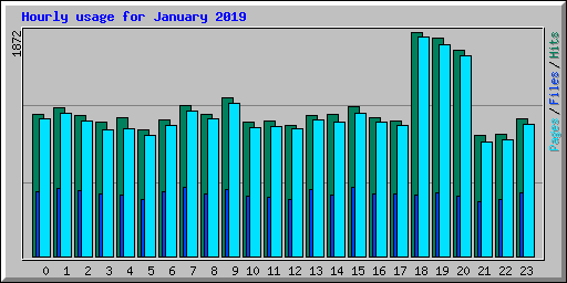 Hourly usage for January 2019