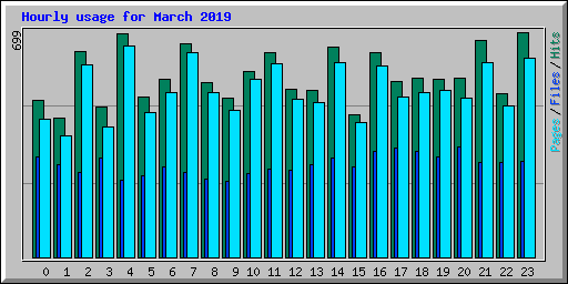 Hourly usage for March 2019