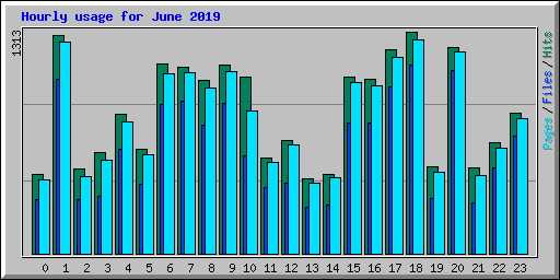 Hourly usage for June 2019