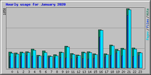 Hourly usage for January 2020