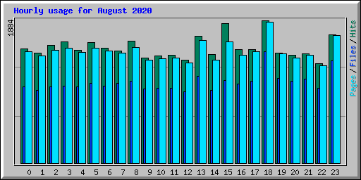 Hourly usage for August 2020