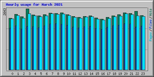 Hourly usage for March 2021