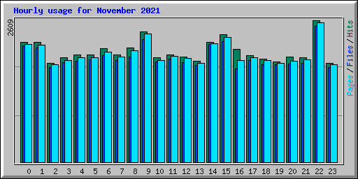 Hourly usage for November 2021