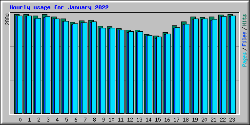 Hourly usage for January 2022