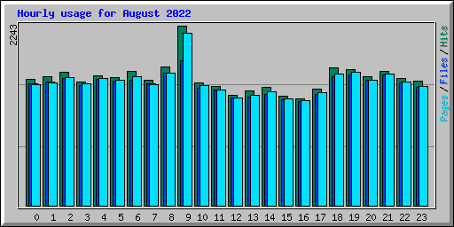 Hourly usage for August 2022