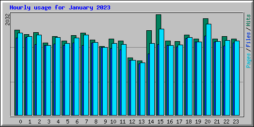 Hourly usage for January 2023