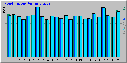 Hourly usage for June 2023