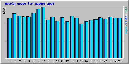 Hourly usage for August 2023