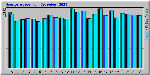 Hourly usage for December 2023