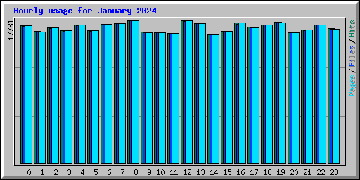 Hourly usage for January 2024