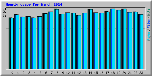Hourly usage for March 2024