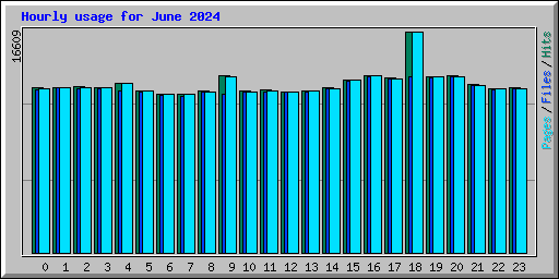Hourly usage for June 2024