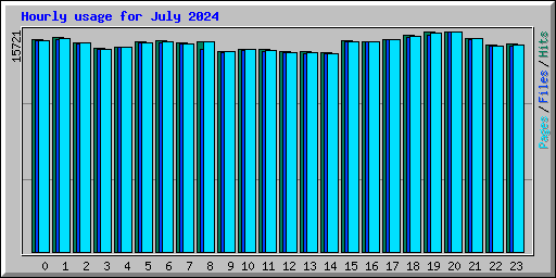 Hourly usage for July 2024