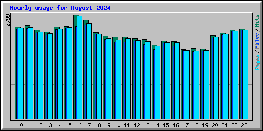 Hourly usage for August 2024