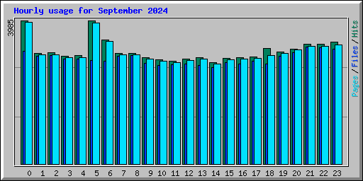 Hourly usage for September 2024