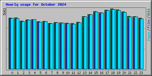 Hourly usage for October 2024