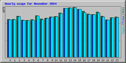 Hourly usage for November 2024