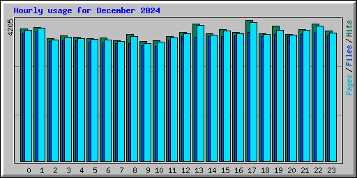Hourly usage for December 2024