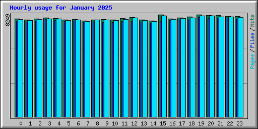 Hourly usage for January 2025