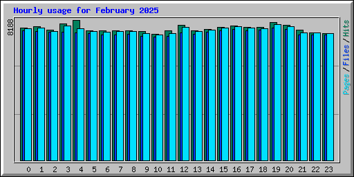 Hourly usage for February 2025