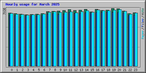 Hourly usage for March 2025