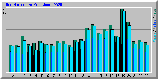 Hourly usage for June 2025