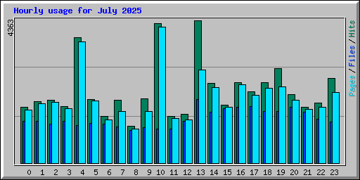 Hourly usage for July 2025