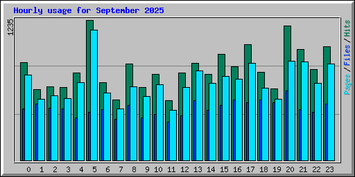 Hourly usage for September 2025