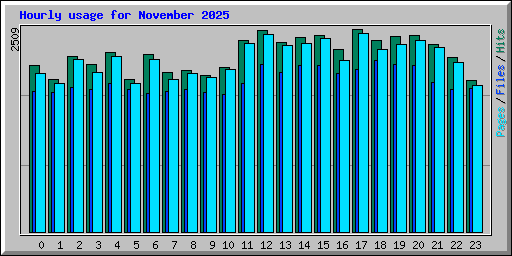 Hourly usage for November 2025