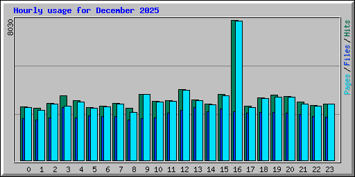 Hourly usage for December 2025